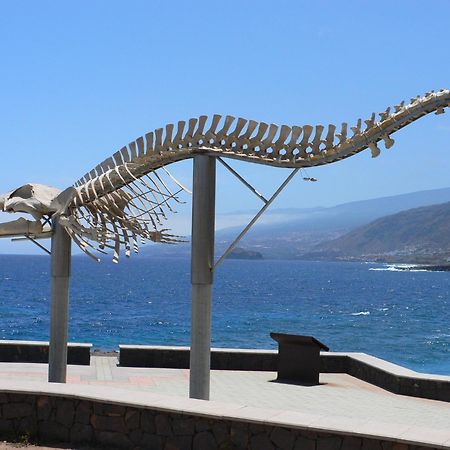 Casa"La Gomera" Los Silos Εξωτερικό φωτογραφία