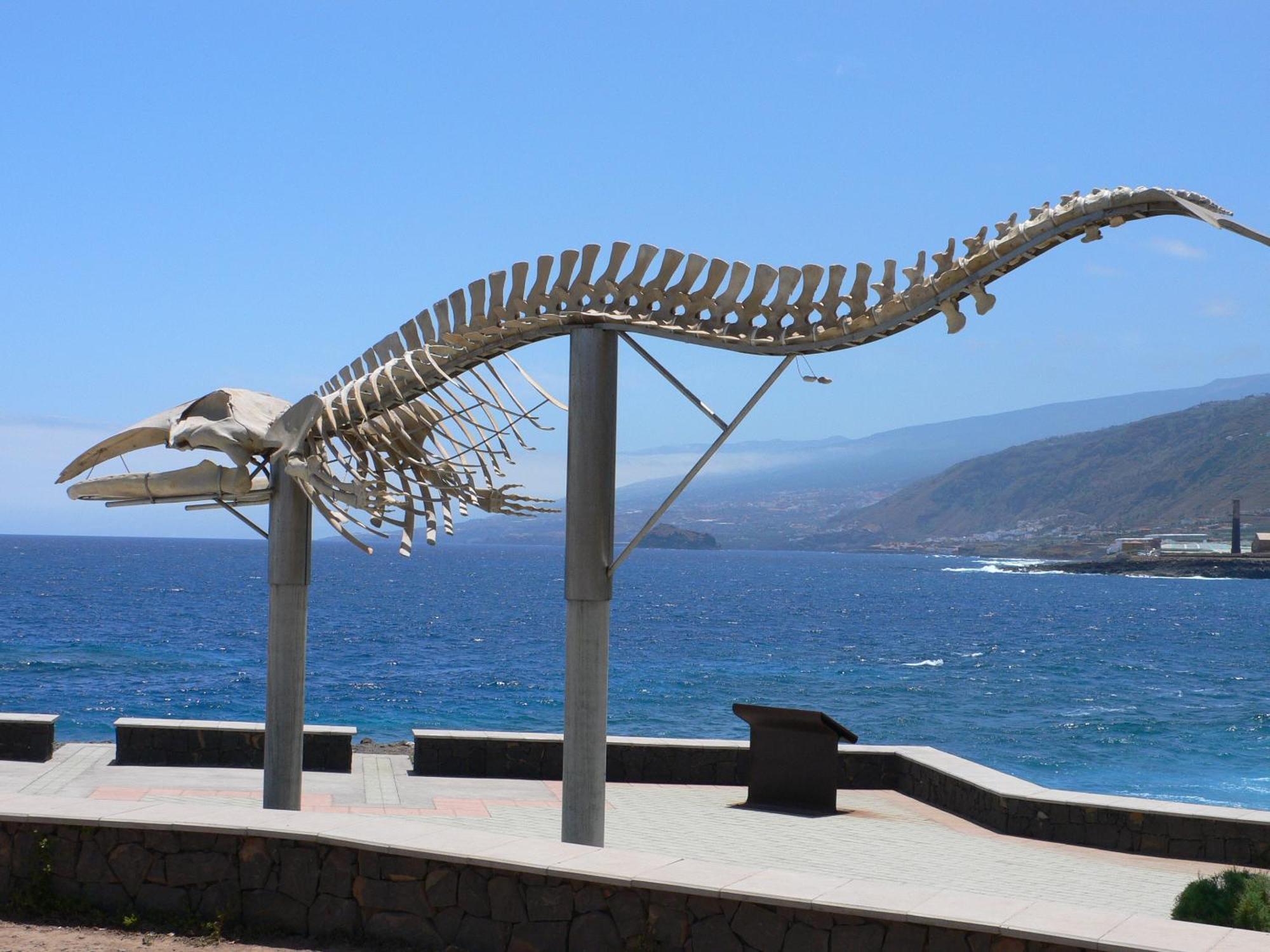 Casa"La Gomera" Los Silos Εξωτερικό φωτογραφία